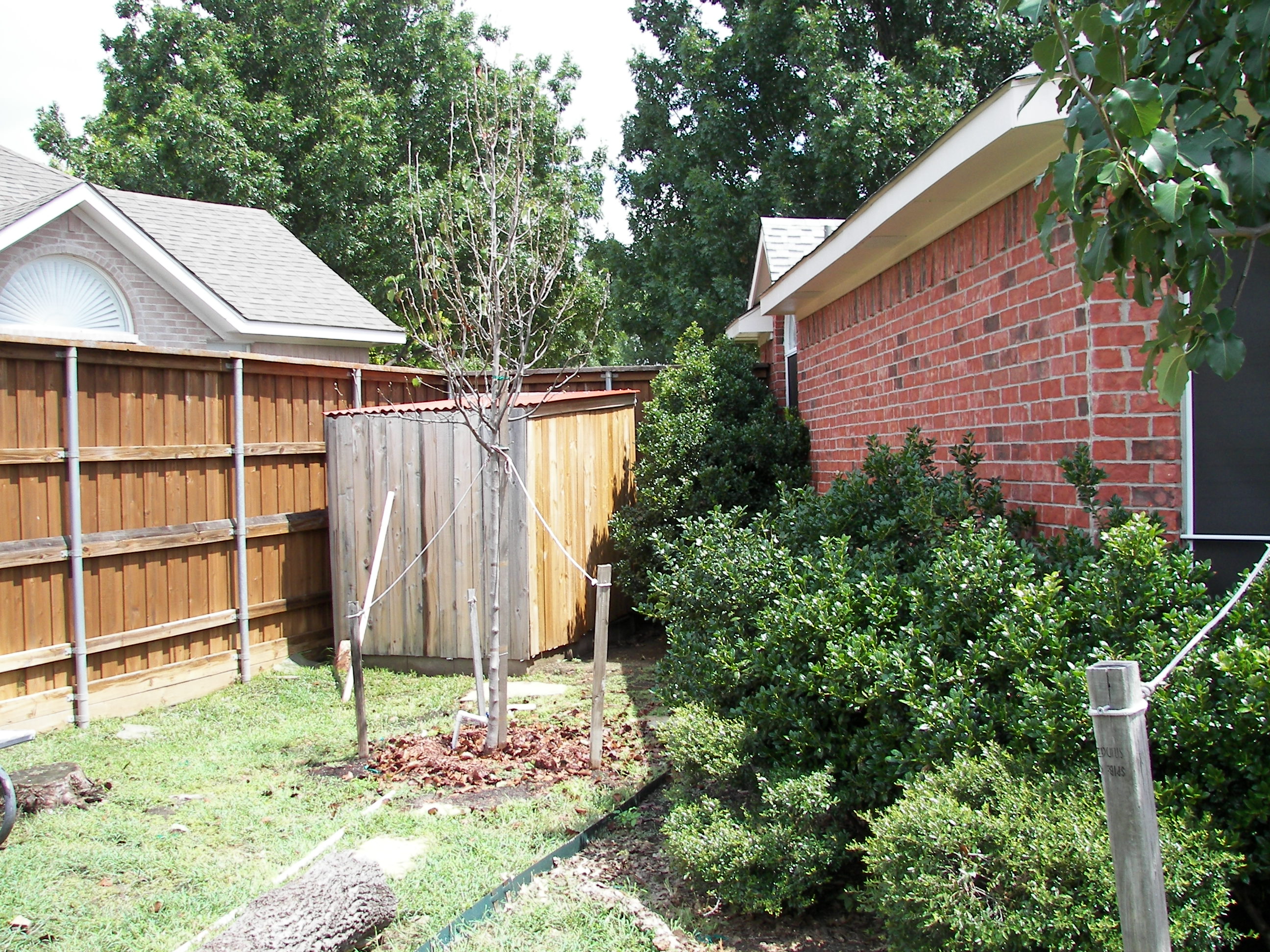 Rental Homes Plano Texas